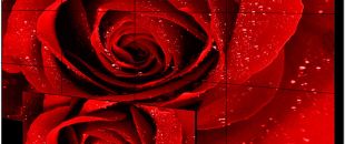 店員瘋狂發傳單，顧客卻頭也不抬？LED廣告機‘強制吸睛’的5個心機設計”